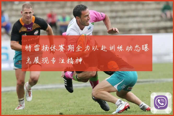 特雷杨休赛期全力以赴训练动态曝光展现专注精神